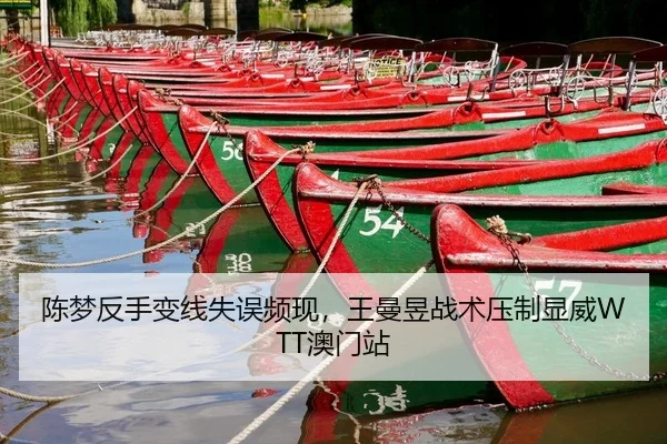 chen-meng-fan-shou-bian-xian-shi-wu-pin-xian-wang-man-yu-zhan-shu-ya-zhi-xian-wei-ao-men-zhan-2-588.jpg